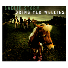 Load image into Gallery viewer, Bring Yer Wellies CD-one disc